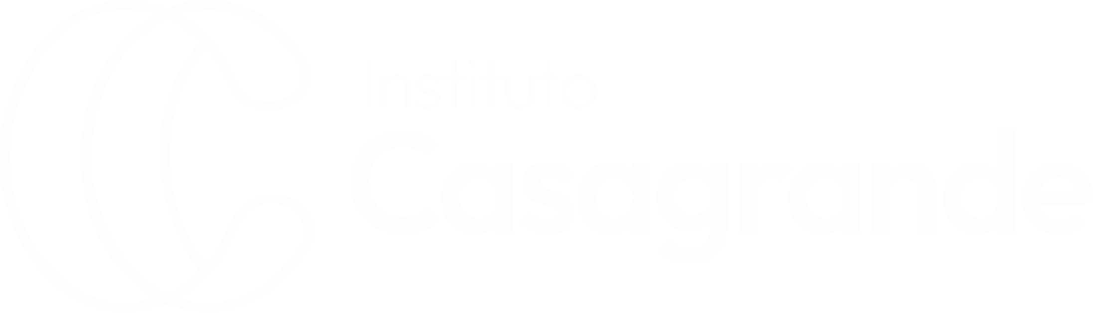Instituto Casagrande